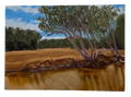 From the long River 3