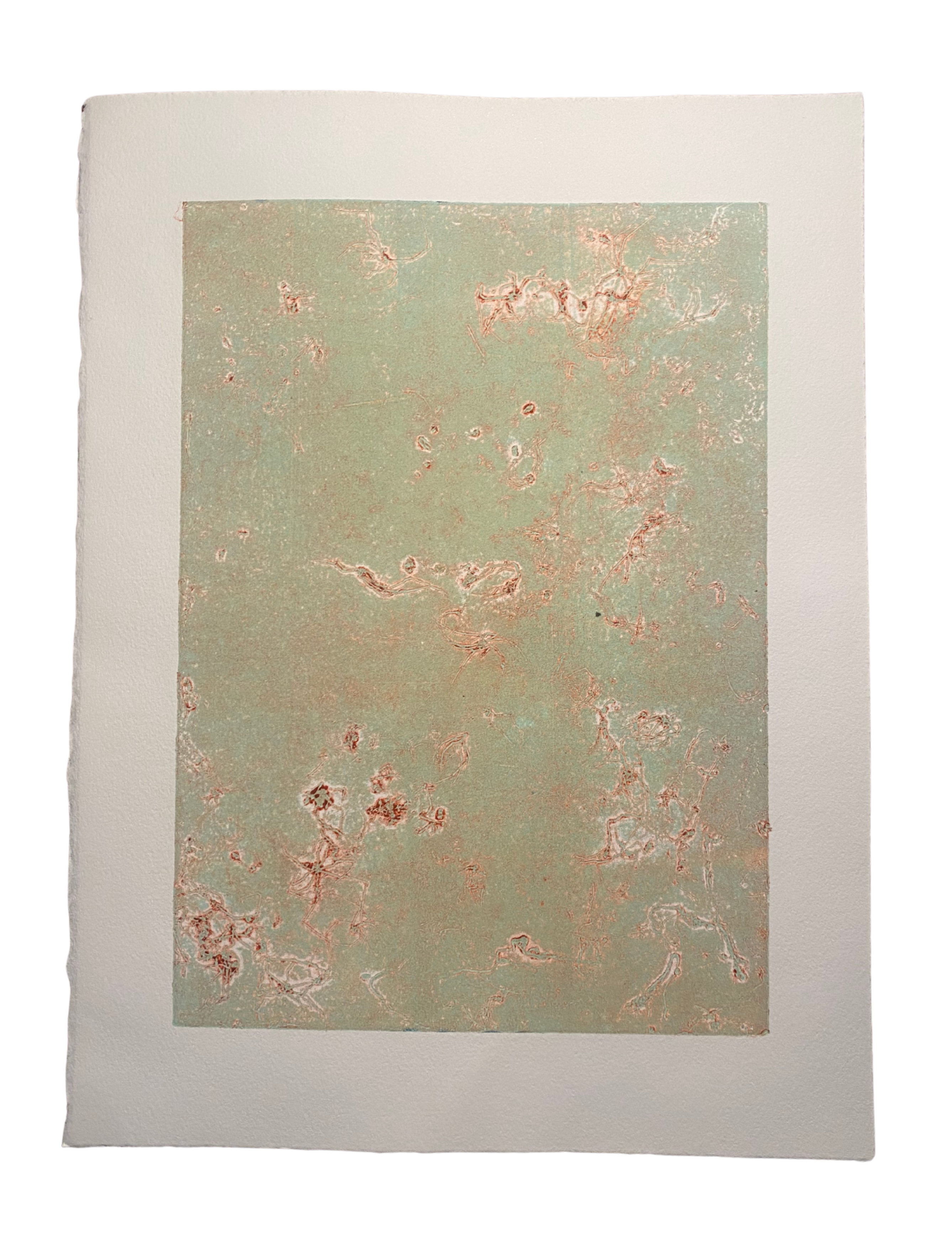 Spiderweb Collagraph