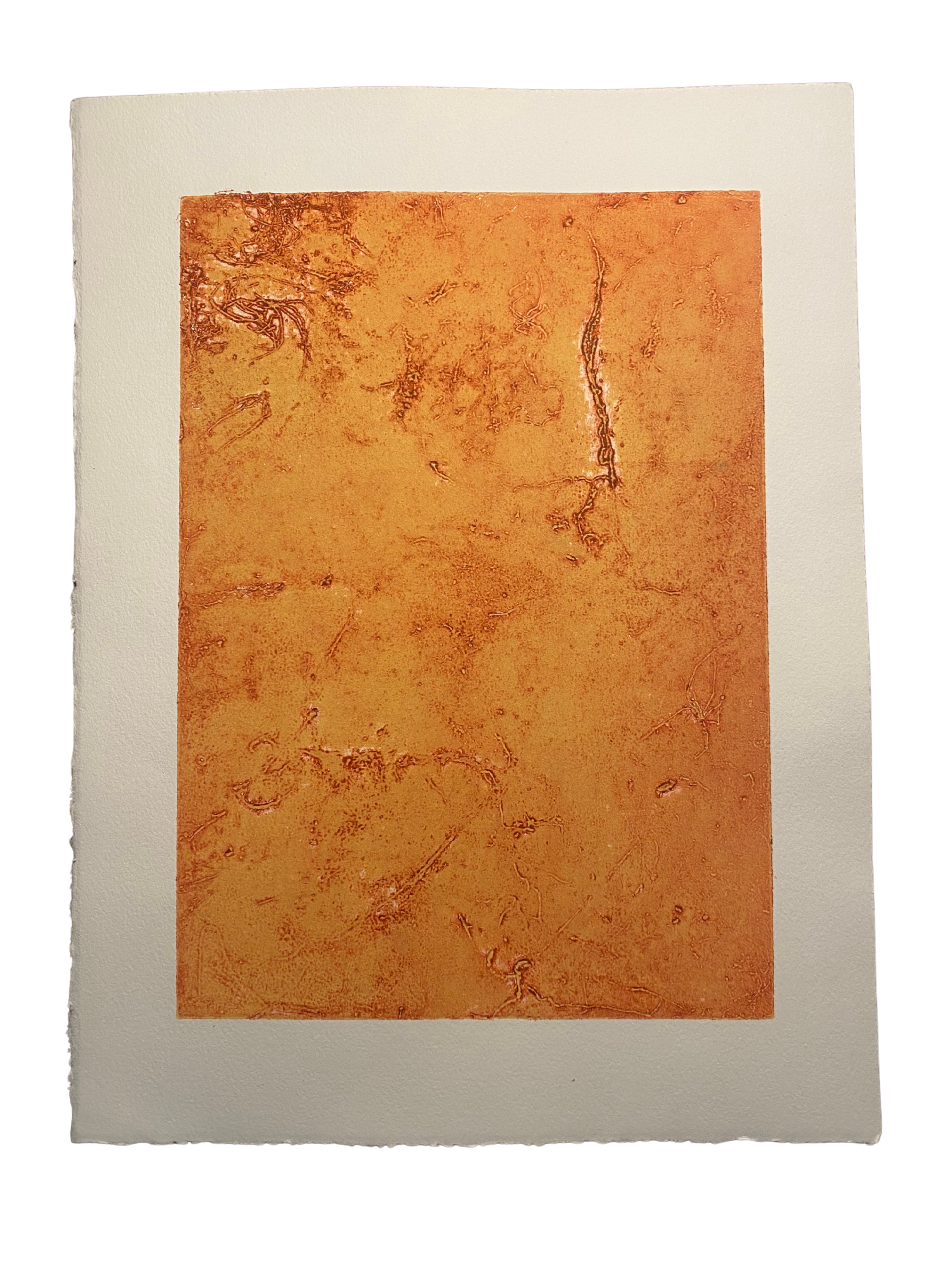 Spiderweb Collagraph 4