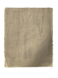 Eucalypt