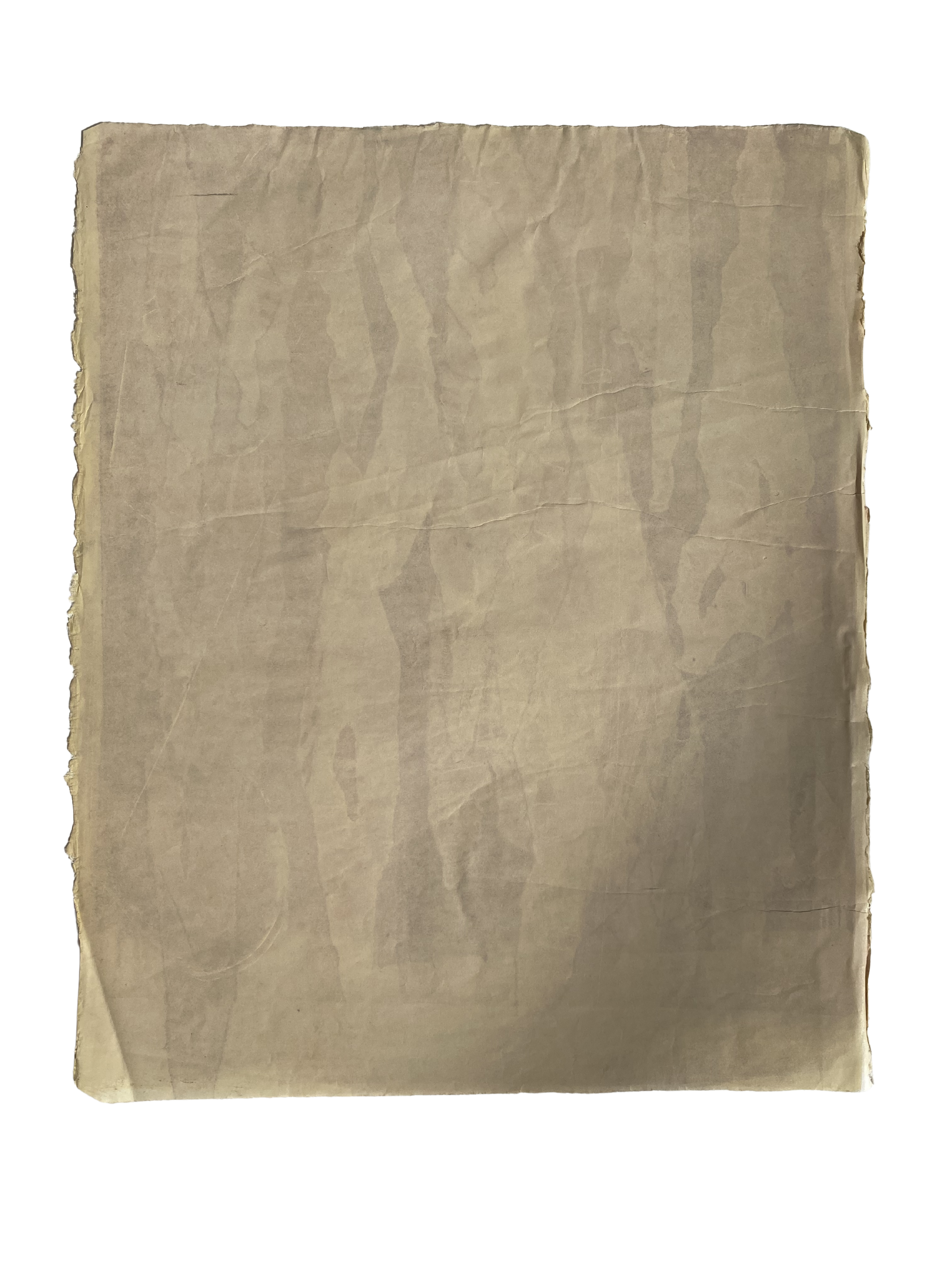 Eucalypt