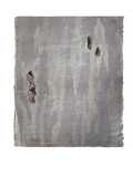 Eucalypt 3