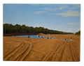 From the long River 5